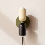 Up Down Plug-In Wall Sconce - Reed Green Canopy / Bone Upper Shade