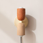 Ceramic Up Down Plug-In Wall Sconce - Bone Canopy / Terracotta Upper Shade