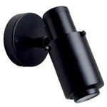 Biny Spot Wall Sconce - Matte Black / Black