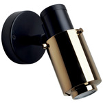 Biny Spot Wall Sconce - Matte Black / Gold