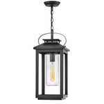 Atwater 12V Outdoor Pendant - Black / Clear Seedy