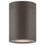 Silo Outdoor Flush Mount - Architectural Bronze / Etched Glass