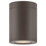 Silo Outdoor Flush Mount - Architectural Bronze / Etched Glass