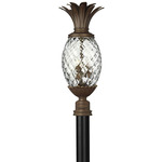 Pineapple 12V Outdoor Pier / Post Mount - Copper Bronze / Clear Optic