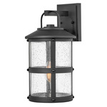 Lakehouse 12V Outdoor Wall Sconce - Black / Clear Seedy