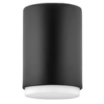 Cedric Extra Small Flush Mount - Black / Etched Opal