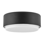 Cedric Flush Mount - Black / Etched Opal