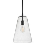 Vance Pendant - Satin Black / Clear Seedy