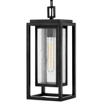 Republic 120V Outdoor Pendant - Black / Clear Seedy