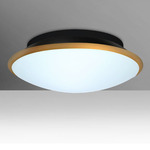 Silk Ceiling Light Fixture - Black / Gold