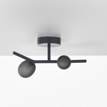 Ivy Ceiling Light - Anthracite / Transparent Smoke Grey