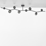 Ivy Ceiling Light - Anthracite / Transparent Smoke Grey