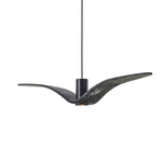 Night Birds Exterior Pendant - Black Anodized / Smoke Grey