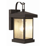 Traditional Seeded Wall Lantern - Weathered Bronze / Clear