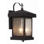 Traditional Seeded Wall Lantern - Weathered Bronze / Clear