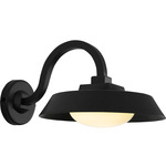 Farmhouse Outdoor Wall Sconce - Textured Black / Opal