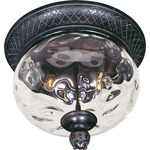 Carriage House Outdoor Ceiling Mount - Oriental Bronze / Water Glass