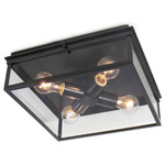 Sydney Outdoor Ceiling Light Fixture - Black / Clear