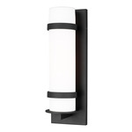 Alban Outdoor Wall Sconce - Black / Opal