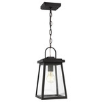 Founders Outdoor Pendant - Black / Clear
