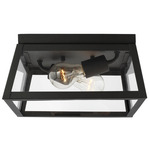 Founders Outdoor Ceiling Light Fixture - Black / Clear