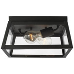 Founders Outdoor Ceiling Light Fixture - Black / Clear