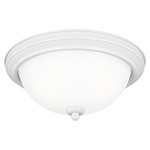 Geary Ceiling Light Fixture - White / Satin Etched