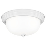 Geary Ceiling Light Fixture - White / Satin Etched