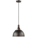 Rockland Pendant - Bronze