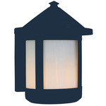 Berkeley Top Outdoor Wall Sconce - Satin Black / Frosted