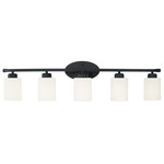 Dixon Bathroom Vanity Light - Matte Black / Soft White