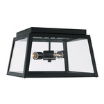 Leighton Outdoor Ceiling Light Fixture - Black / Clear