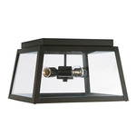 Leighton Outdoor Ceiling Light Fixture - Oiled Bronze / Clear