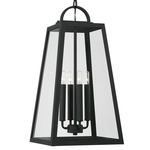 Leighton Outdoor Pendant - Black / Clear