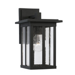 Barrett Outdoor Wall Sconce - Black / Antique Glass