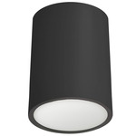 Echo Ceiling Flush Mount - Matte Black / Frosted