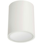 Echo Ceiling Flush Mount - Matte White / Frosted