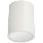 Echo Ceiling Light - Matte White / Frosted