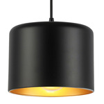Emilia Pendant - Matte Black / Aged Brass