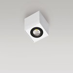 Box 1C 1 Light LED - Matte White