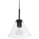 Roswell Cone Pendant - Matte Black / Clear