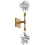 Blossom Double Wall Sconce - Gilded Brass / Clear