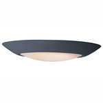 Diverse T24 Wet Location Ceiling Light - Black / White