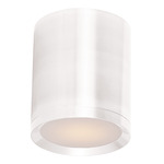 Lightray 120V Outdoor Flush Mount - White