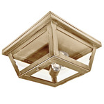 Williams Indoor / Outdoor Ceiling Light - Antique Brass / Clear