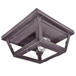 Williams Indoor / Outdoor Ceiling Light - Dark Brass / Clear