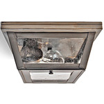 Williams Indoor / Outdoor Ceiling Light - Dark Brass / Clear Seedy