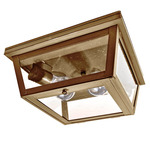Williams Indoor / Outdoor Ceiling Light - Antique Brass / Clear Seedy