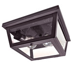 Williams Indoor / Outdoor Ceiling Light - Dark Brass / Clear Seedy