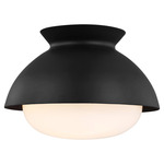 Lucerne Flush Mount - Midnight Black / Milk White